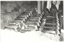 Sausio 13